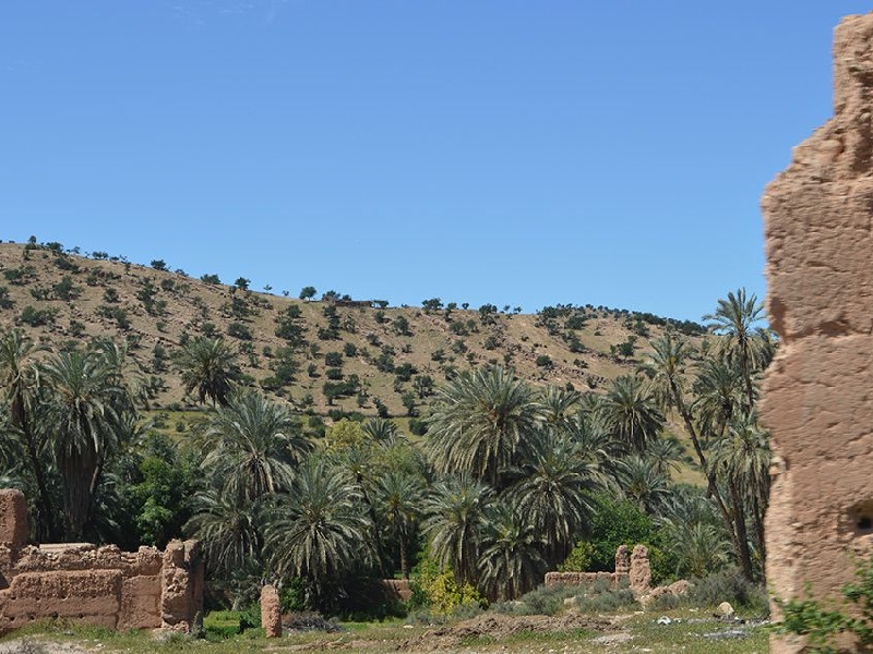 Taroudant (1) 1657801837.pn